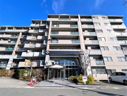 【桃山南エリア】令和7年3月フルリノベーション済の4LDK★家族が集まるリビングは南からの明るい光が入ります♪